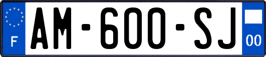 AM-600-SJ