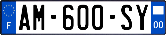 AM-600-SY