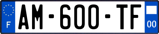 AM-600-TF