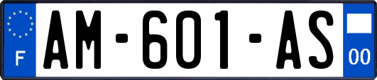 AM-601-AS