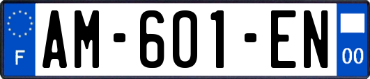 AM-601-EN