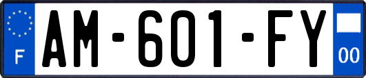 AM-601-FY