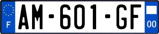 AM-601-GF
