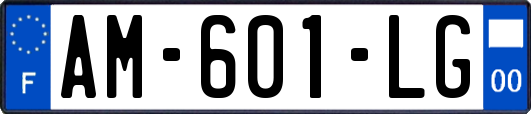 AM-601-LG