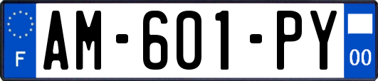 AM-601-PY