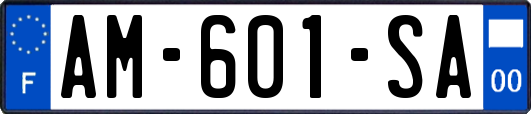 AM-601-SA