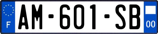 AM-601-SB