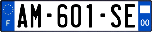 AM-601-SE