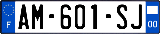 AM-601-SJ