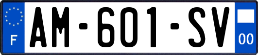 AM-601-SV