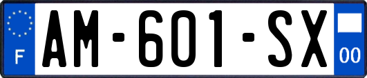AM-601-SX