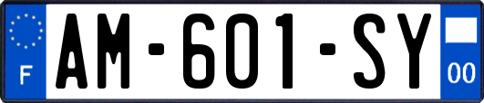 AM-601-SY