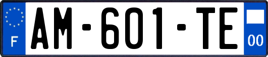 AM-601-TE