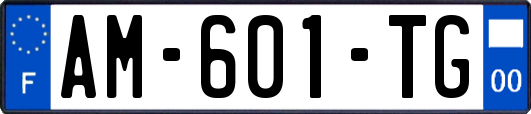 AM-601-TG