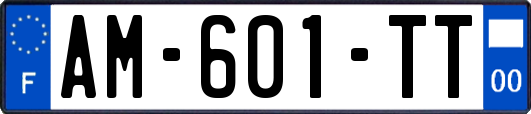 AM-601-TT