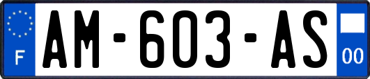 AM-603-AS