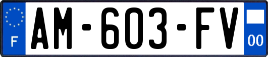 AM-603-FV