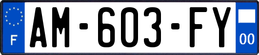 AM-603-FY