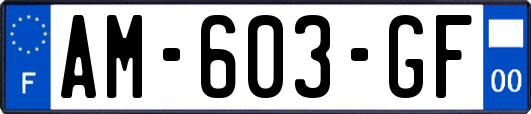 AM-603-GF