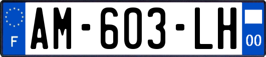 AM-603-LH