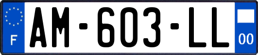 AM-603-LL