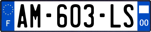 AM-603-LS