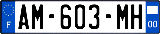 AM-603-MH