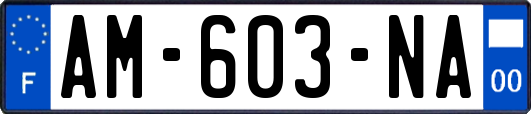 AM-603-NA