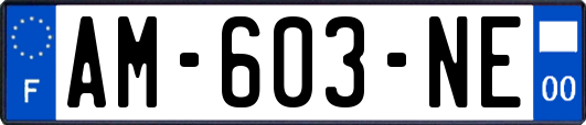 AM-603-NE