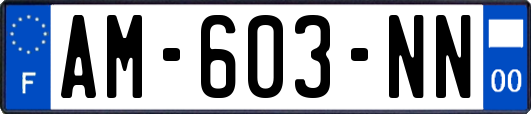 AM-603-NN