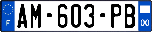 AM-603-PB