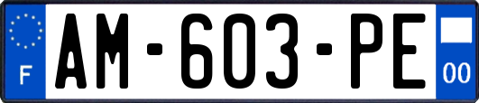 AM-603-PE