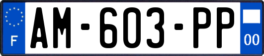 AM-603-PP