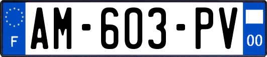 AM-603-PV