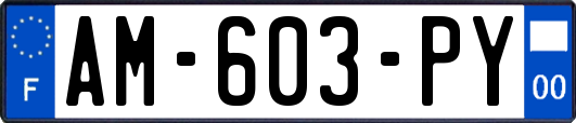 AM-603-PY