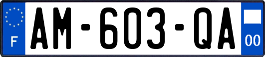 AM-603-QA