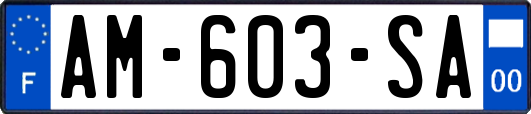 AM-603-SA