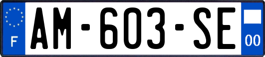 AM-603-SE