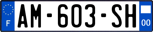 AM-603-SH