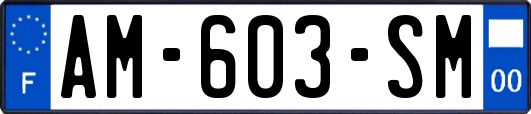 AM-603-SM