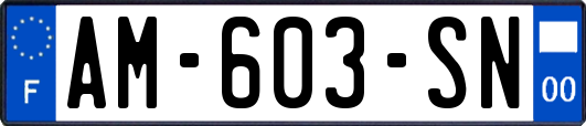 AM-603-SN