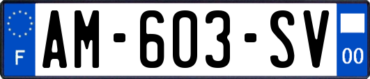 AM-603-SV