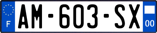 AM-603-SX