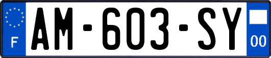 AM-603-SY