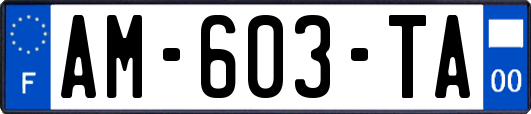AM-603-TA