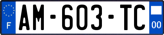 AM-603-TC