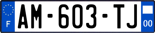 AM-603-TJ