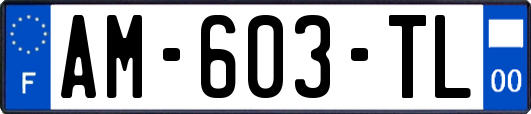 AM-603-TL