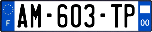 AM-603-TP