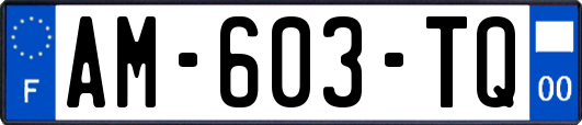 AM-603-TQ